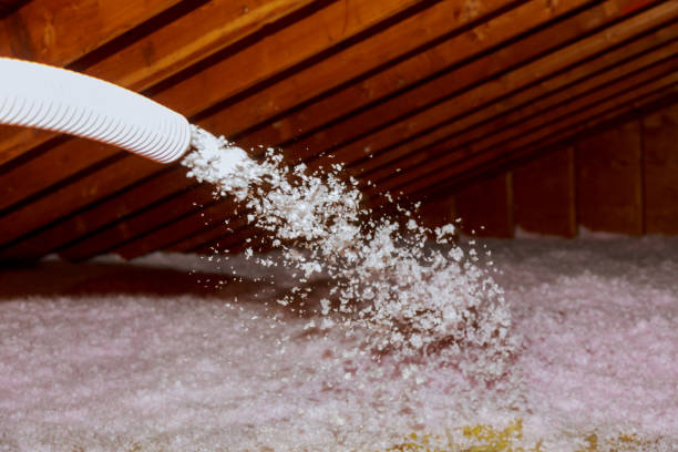 Best Types of Insulation in Central, LA