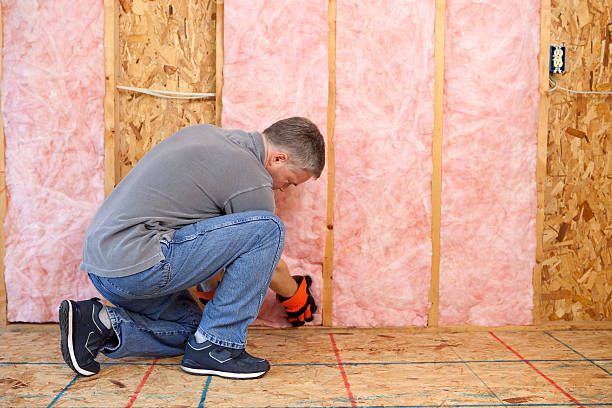 Best Insulation Materials and Products in Central, LA