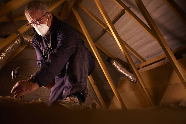 Best Insulation Installation Services in Central, LA